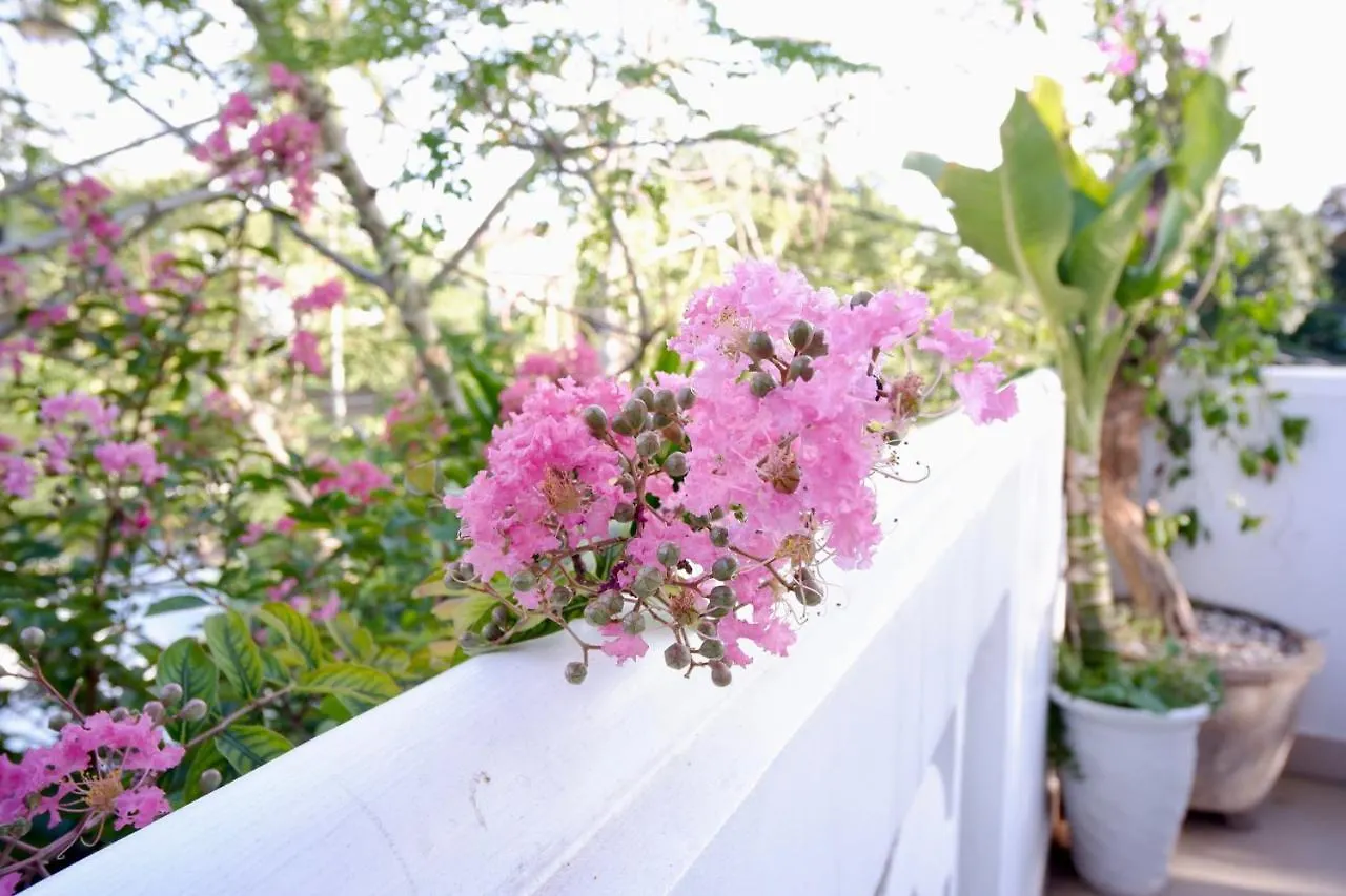 הוי אן Minh Phat Homestay